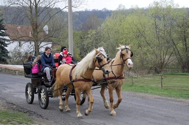 Ubytovani V Karavanu Bzany ภายนอก รูปภาพ
